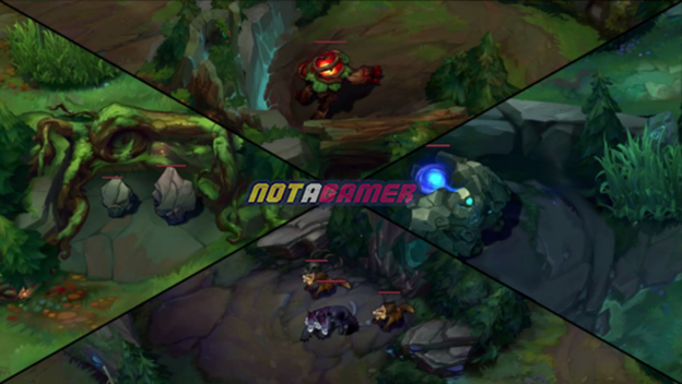 League of Legends: Join the Test to know if you are an exemplary jungle or a game breaker? 1