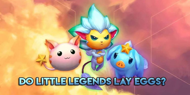 League of Legends: Do Little Legends lay eggs? - “Place your wallet upon the platform to see true greatness.” 1