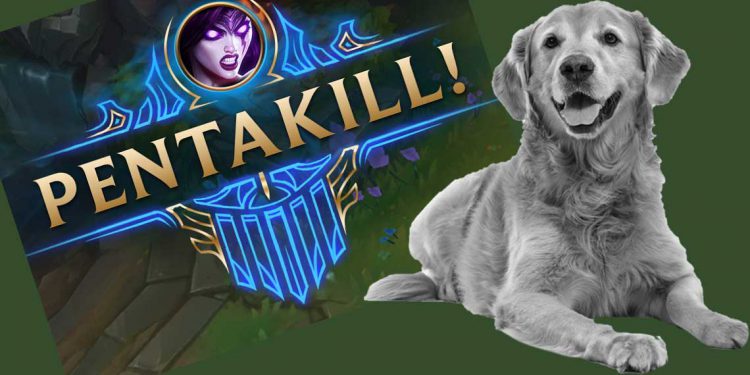 Gamers cede Pentakill to comfort the sadness ... losing dogs - Losing Dogs LoL 1