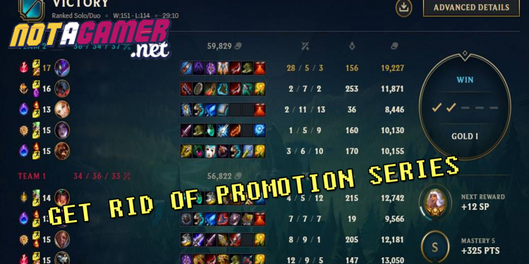 Riot is going to get rid of promotion series from the next season!!! 1
